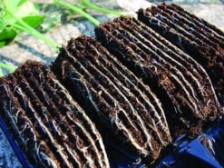 Deep Rootrainer Pack Of 2 7 Deep Rootrainer Pack Of 2 -Outdoor Garden Care Shop rootrainer 1