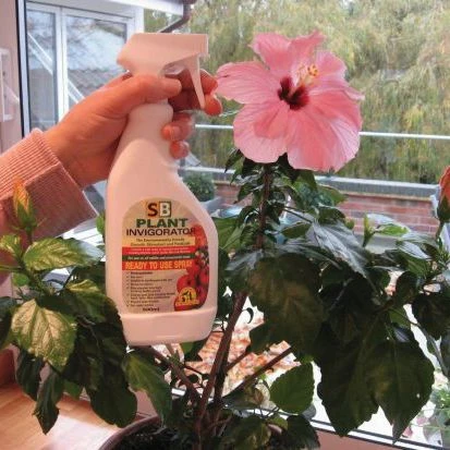 SB Plant Invigorator Natural Insect Repeller 6 SB Plant Invigorator Natural Insect Repeller - Image 4