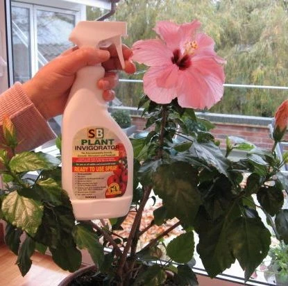 SB Plant Invigorator Natural Insect Repeller 4 SB Plant Invigorator Natural Insect Repeller - Image 2