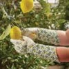 Garden Gloves Sicilian Lemon Gauntlet Glove 1 Garden Gloves Sicilian Lemon Gauntlet Glove -Outdoor Garden Care Shop sicilian gaunlet glove m8