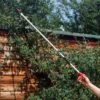 Garden Snapper For High Pruning 1m Or 1.5m 2 Garden Snapper For High Pruning 1m Or 1.5m -Outdoor Garden Care Shop snapper