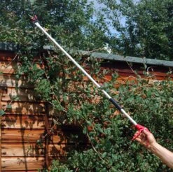 Garden Snapper For High Pruning 1m Or 1.5m