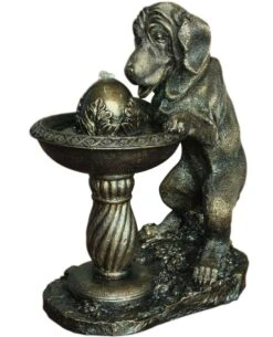 Solar Dog At Fountain Water Feature