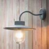 Garden Light St Ives Swan Neck Light -Outdoor Garden Care Shop swan neck light flint 350