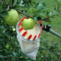 Swop Top Fruit Picking Basket Darlac DP569 -Outdoor Garden Care Shop swt3