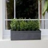 Vence Window Box Zinc Plated Steel -Outdoor Garden Care Shop vence window box small 350