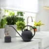 Watering Can And Mister Set -Outdoor Garden Care Shop warering can mister set