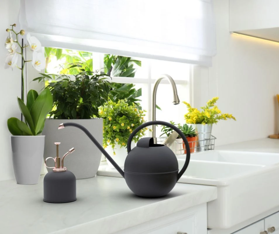 Watering Can And Mister Set 3 Watering Can And Mister Set