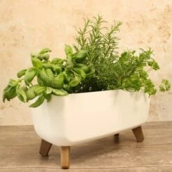 Zinnia Plant Trough Indoor/Outdoor Use 100% Recycled Plastic 9 Zinnia Plant Trough Indoor/Outdoor Use 100% Recycled Plastic -Outdoor Garden Care Shop white trough plant pot on legs