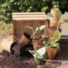 Wood Fibre Pots 8cm Pack 48 -Outdoor Garden Care Shop wood fibre pots 8