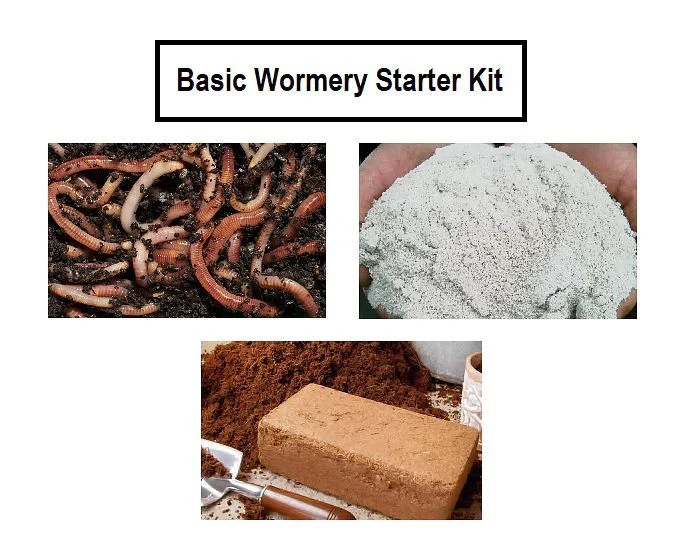 Wormery Starter Kit 3 Wormery Starter Kit